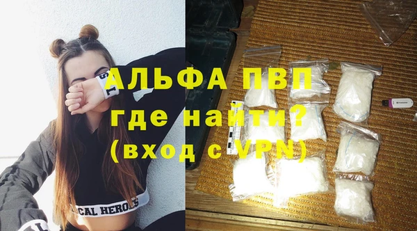 индика Зеленокумск