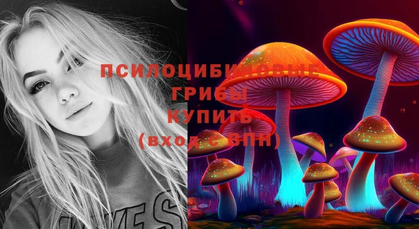 сатива Зерноград