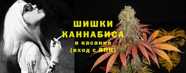 дмт Балабаново