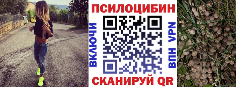 Галлюциногенные грибы Psilocybe  где продают наркотики  Моздок 